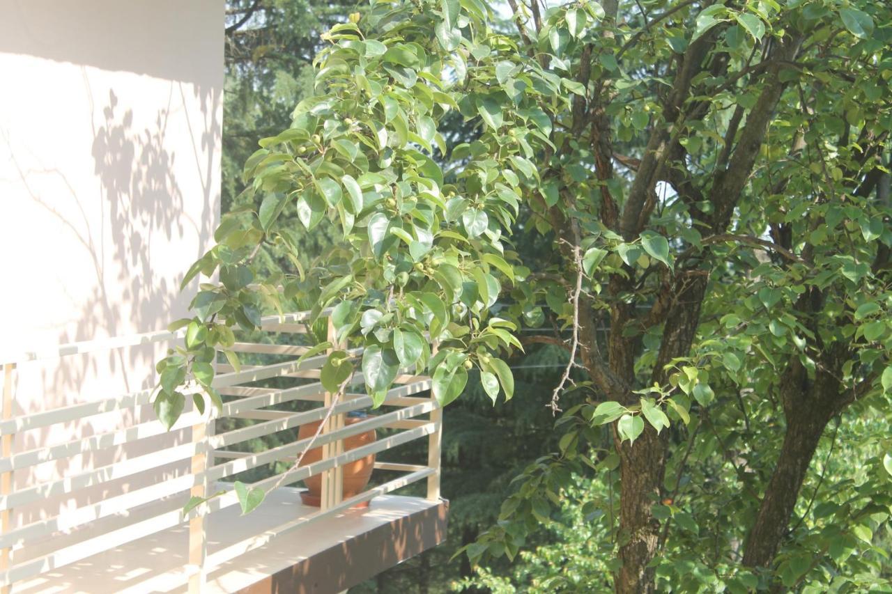 Junglaat Stays & Experiences ดารัมซาลา ภายนอก รูปภาพ