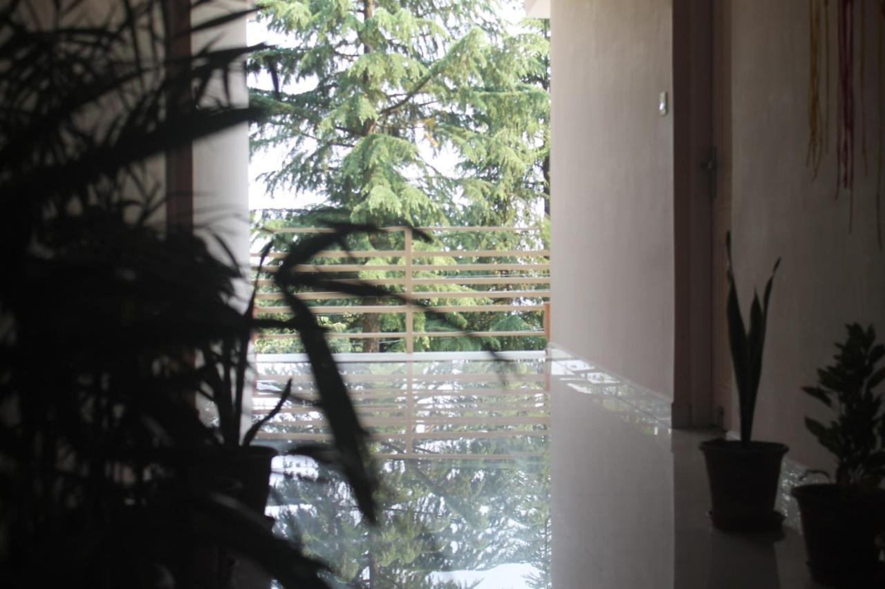 Junglaat Stays & Experiences ดารัมซาลา ภายนอก รูปภาพ